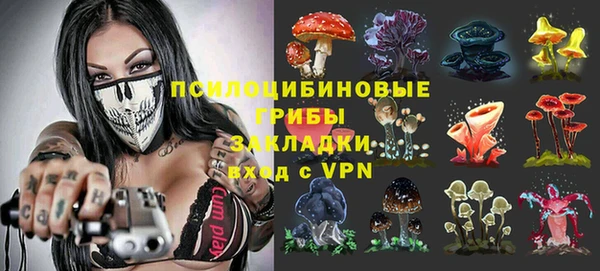 каннабис Арсеньев