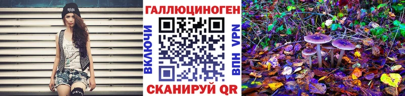 Псилоцибиновые грибы Psilocybine cubensis  Урюпинск 